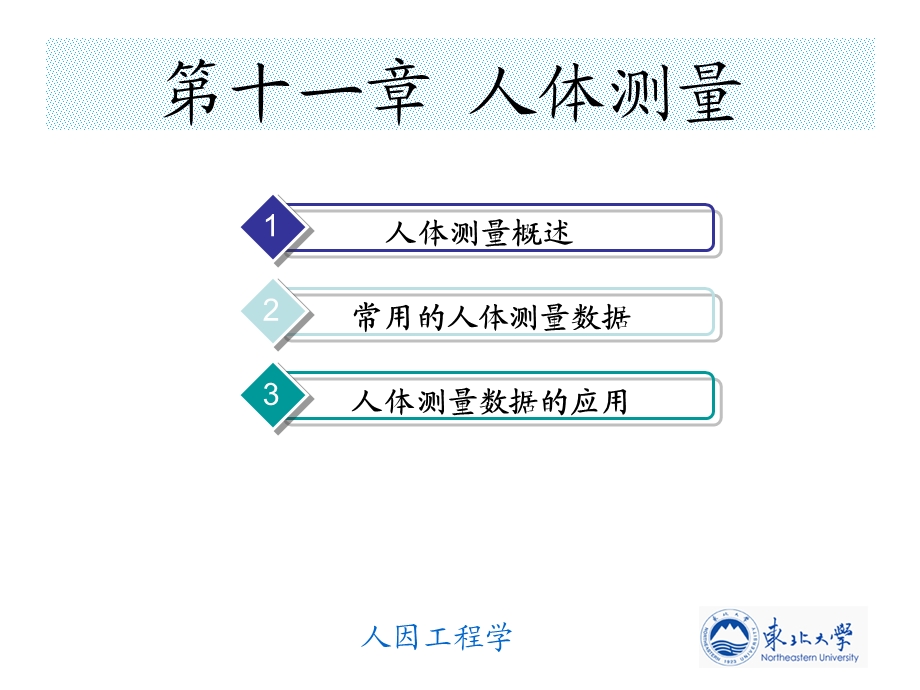 人体测量的基本术语立姿挺胸直立.ppt_第1页