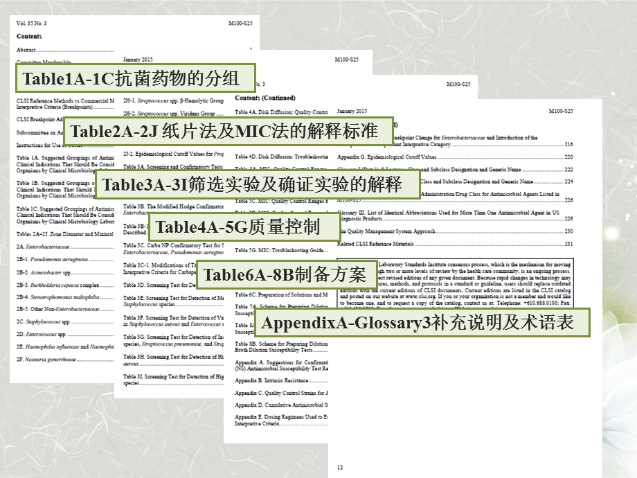 中文版2015clsi更新.ppt_第3页