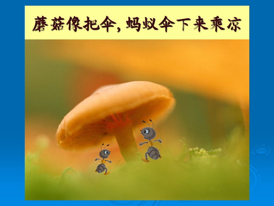 中班诗歌《伞》PPT课件.ppt_第3页