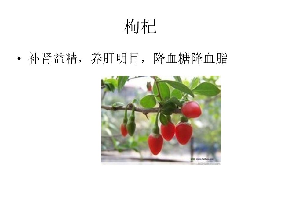 中医药在我身边.ppt_第3页