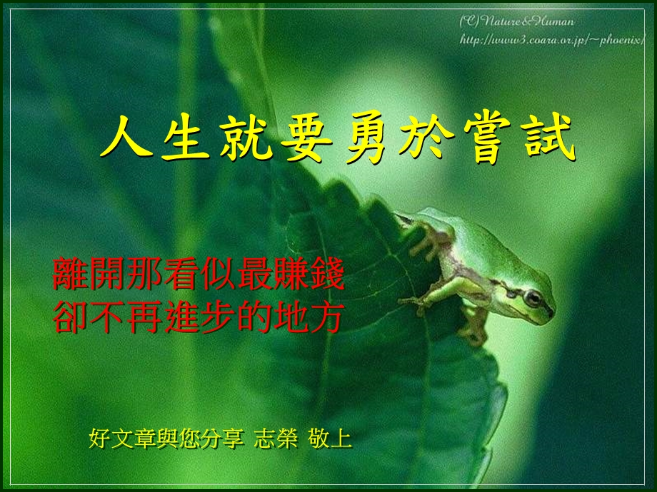 人生就要勇於尝试.ppt_第1页