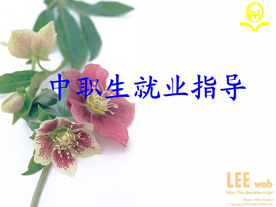 中职就业指导-课件.ppt_第1页