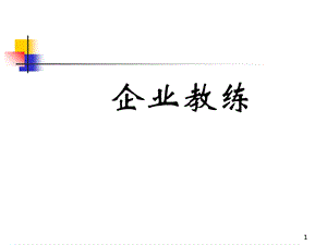 企业教练技术ppt.ppt