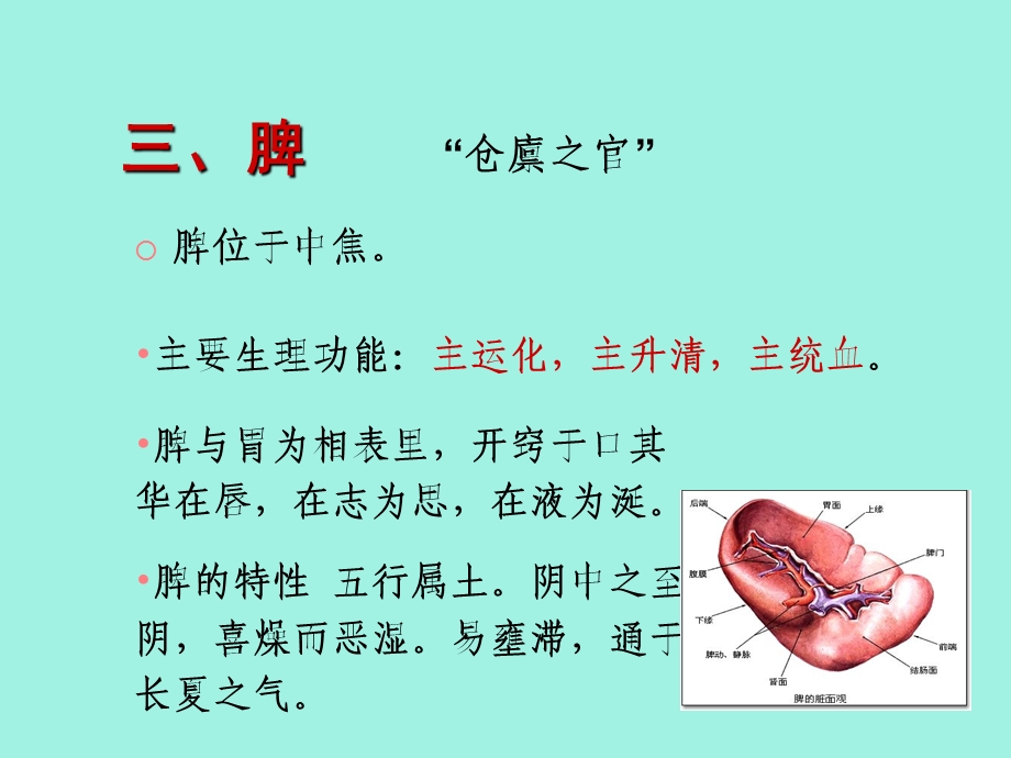 中医基础脾肝肾.ppt_第1页