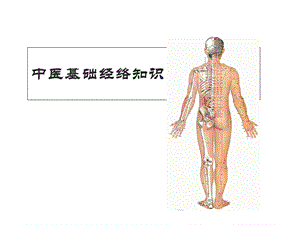 中医基础经络知识(PPT26页).ppt