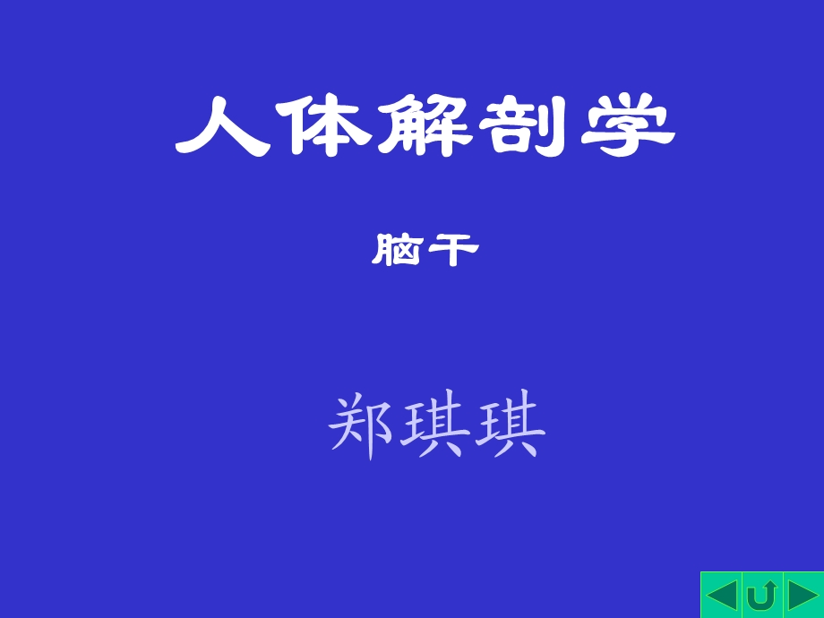 人体解剖学脑干.ppt_第1页