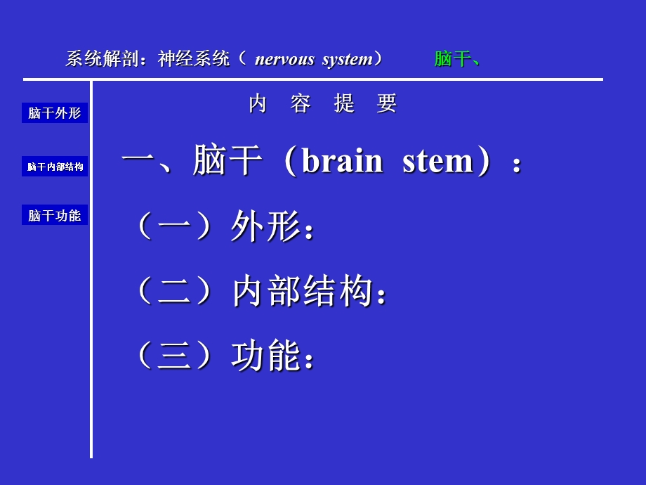 人体解剖学脑干.ppt_第2页