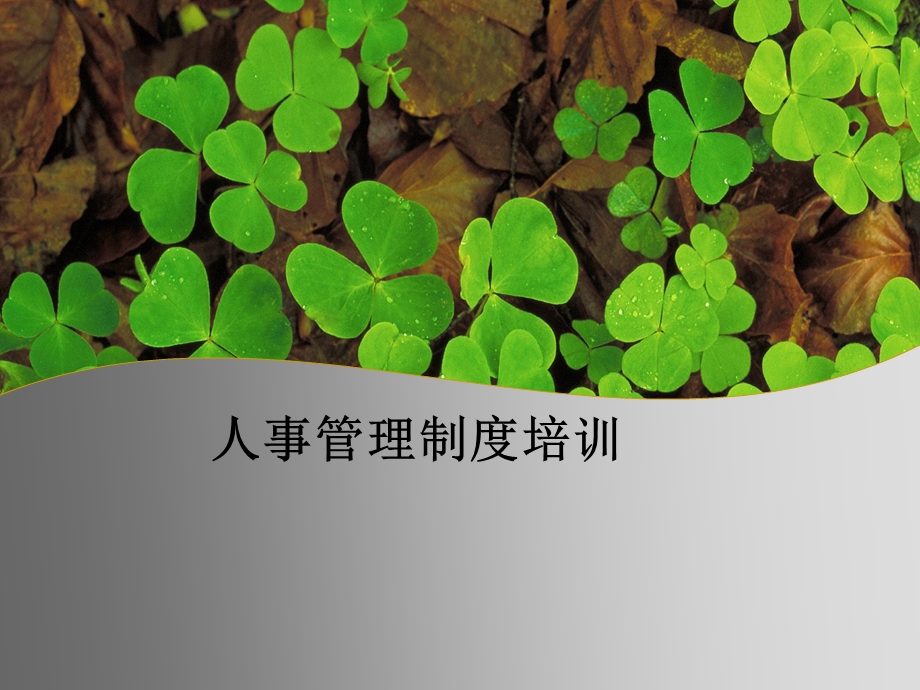 人事管理制度培训PPT.ppt_第1页