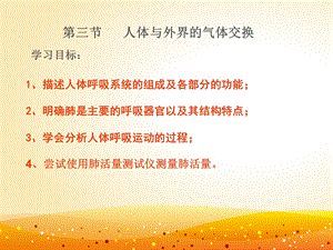 体与外界环境的气体交换课件.ppt