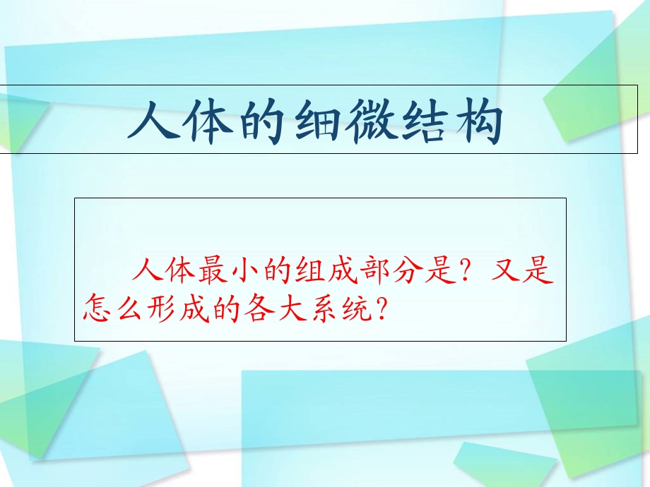 人体细胞和组织.ppt_第1页