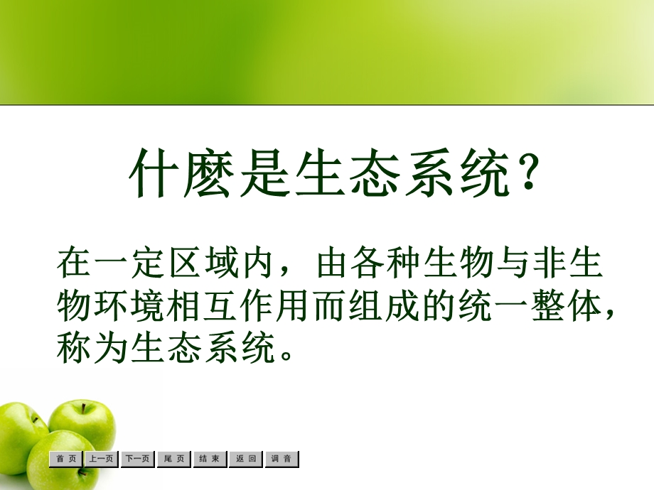 什麽是生态系统.ppt_第2页