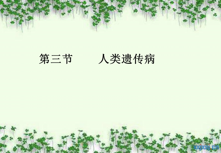 人类遗传病课件优质.ppt_第1页