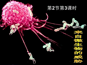 九年级科学来自微生物的威胁.ppt