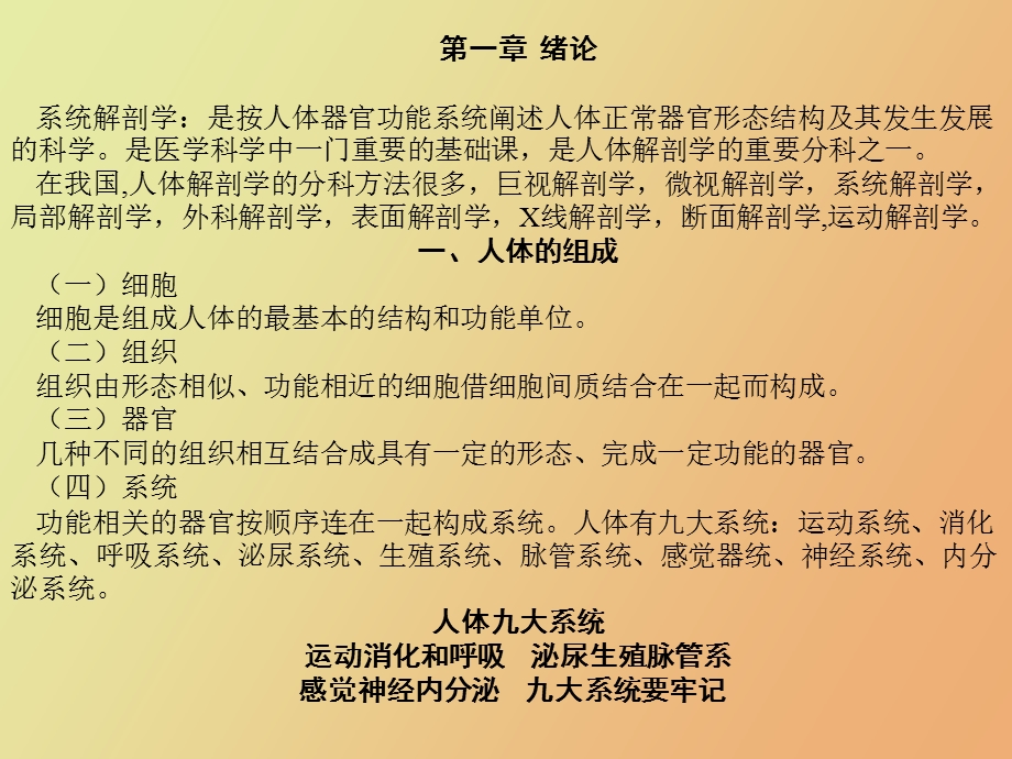 人体解剖学课件全.ppt_第3页