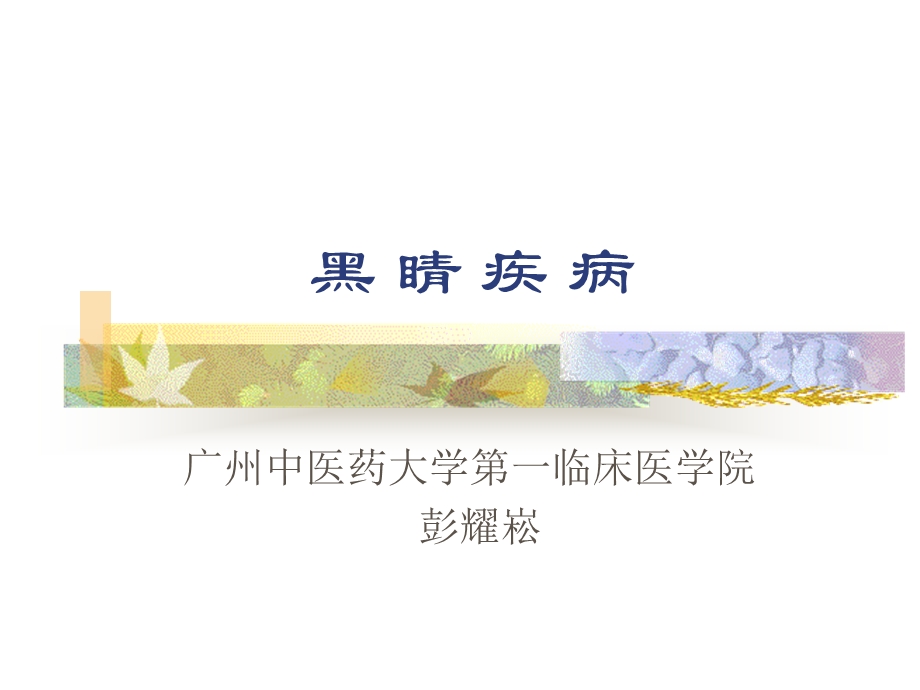 中医眼科学-黑睛疾病.ppt_第1页