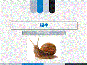 人教版小学三年级科学《蜗牛》一二合集.ppt