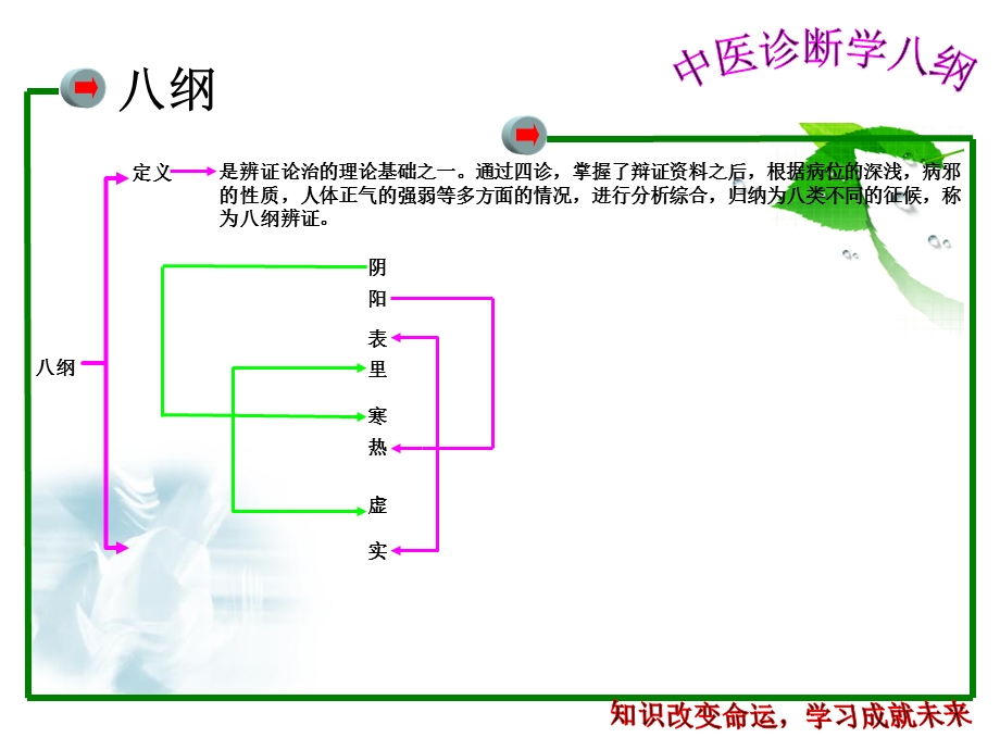 中医诊断学八纲.ppt_第2页