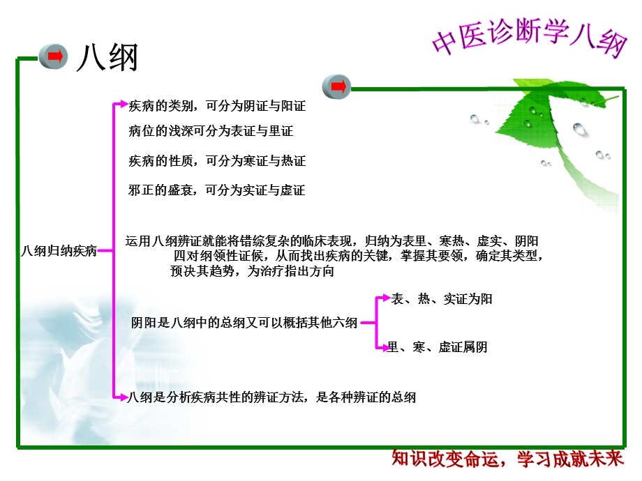 中医诊断学八纲.ppt_第3页