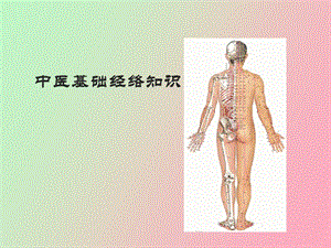 中医基础经络知识.ppt