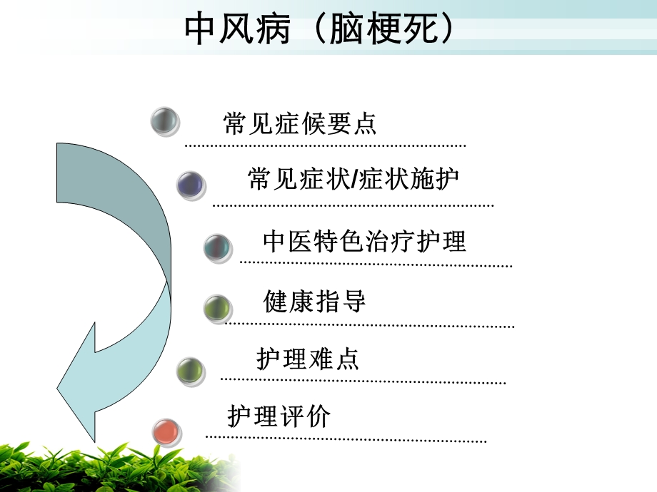 中风中医护理方案.ppt_第3页