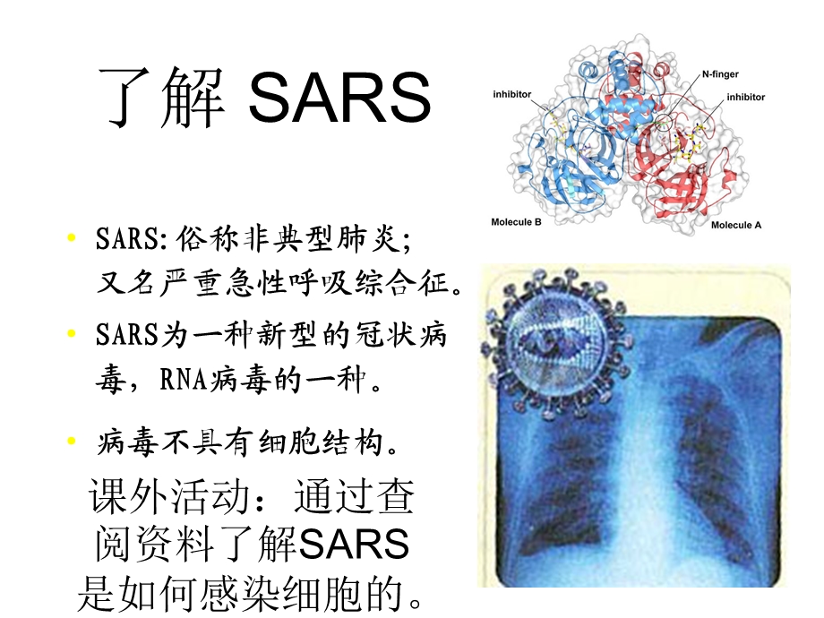 人教版必修一1.1从生物圈到细胞.ppt_第2页