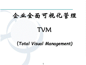 企业全面可视化管理.ppt