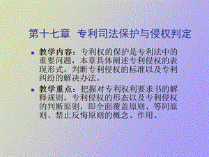 专利权的司法保护.ppt