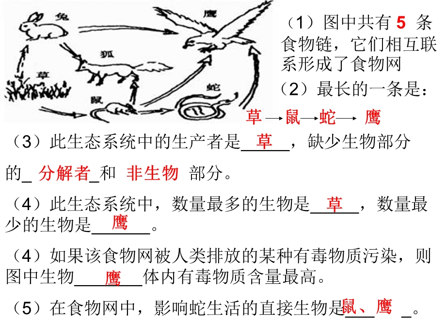 人教版生物七年级上册识图题总结.ppt_第1页