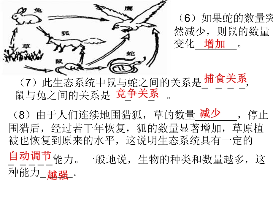 人教版生物七年级上册识图题总结.ppt_第2页