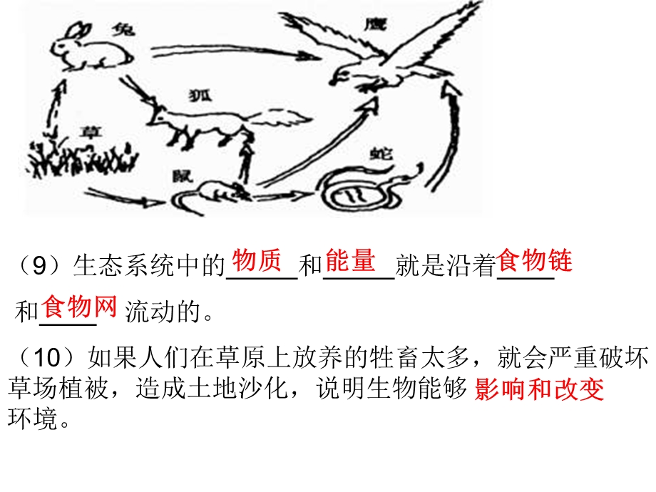 人教版生物七年级上册识图题总结.ppt_第3页