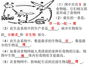 人教版生物七年级上册识图题总结.ppt