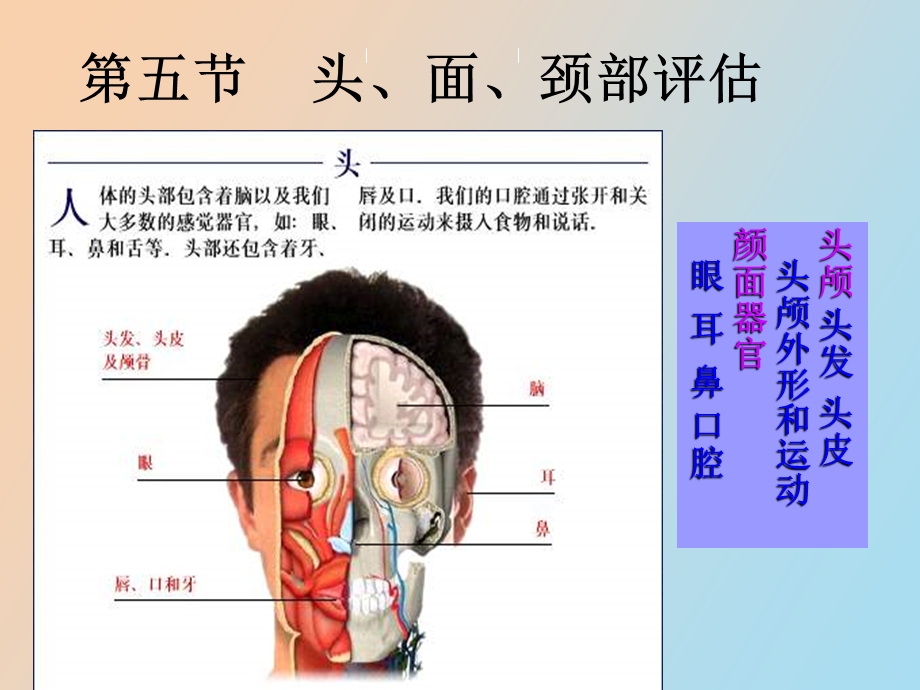 体格检查头面颈.ppt_第2页