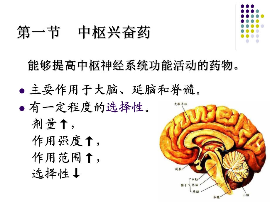 中枢兴奋药和利尿药.ppt_第3页