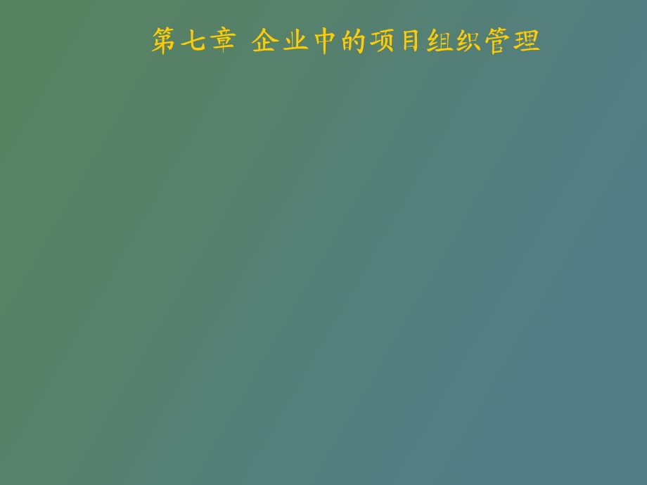 企业中的项目组织管理.ppt_第1页