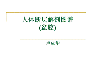 人体断层解剖图谱盆腔.ppt