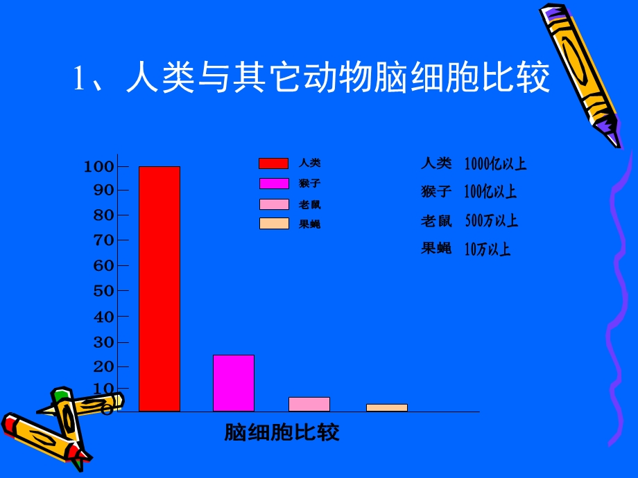 了解认识大脑研究适于脑的教学.ppt_第3页