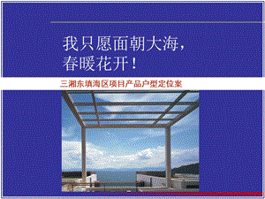 中原出品-深圳三湘东填海区项目户型定位报告81页.ppt