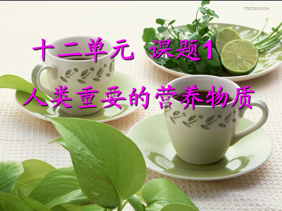 人类重要的营养物质说课+课件.ppt_第1页