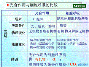 人教版教学课件第六章第1节细胞增殖.ppt