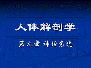 人体解剖学-第九章-神经系统-脑神经.ppt