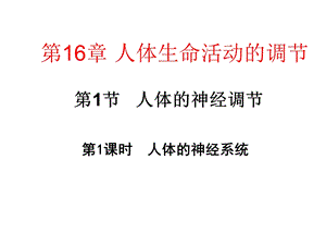 人体生命活动的调部分.ppt