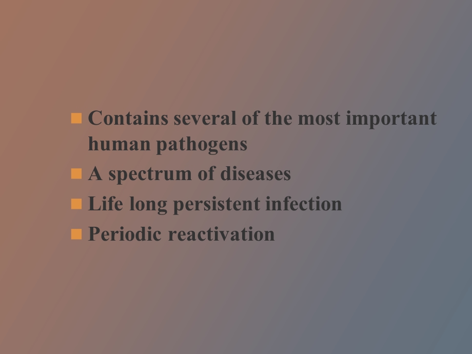 人类疱疹病毒精美生物医学.ppt_第2页