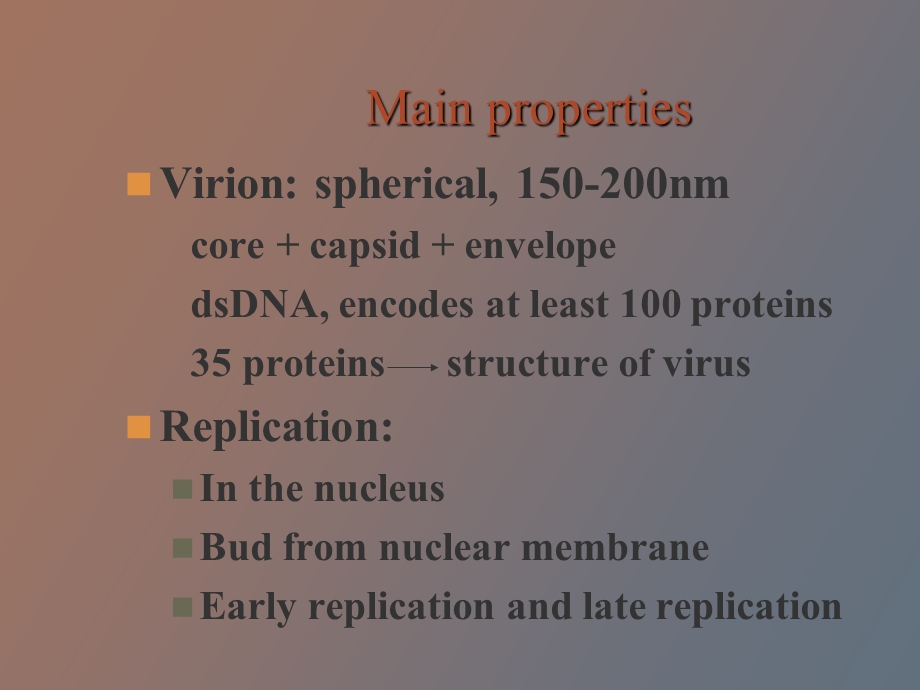 人类疱疹病毒精美生物医学.ppt_第3页