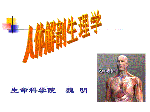 人体解剖生理学第一章绪论ppt.ppt