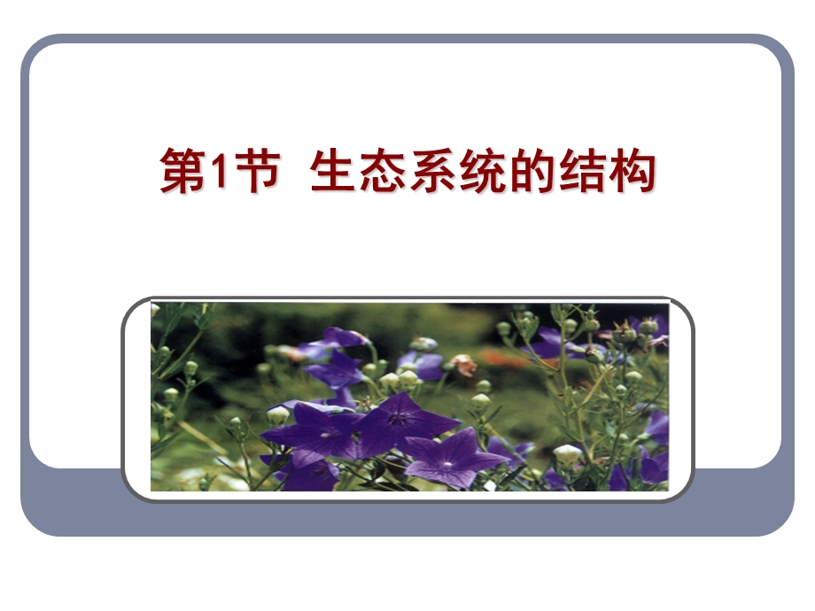 人教版教学课件生态系统的结构课件.ppt_第2页