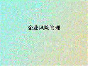 企业风险管理第一章.ppt