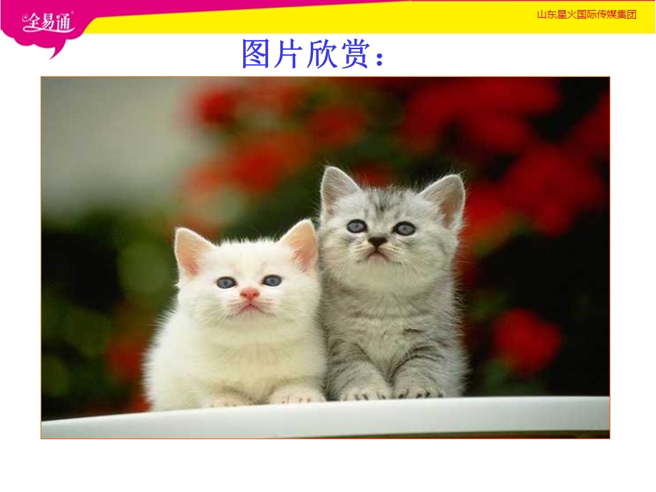 优秀郑振铎《猫》ppt.ppt_第1页