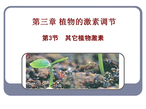 人教版教学课件必修3第三节其它植物激素.ppt