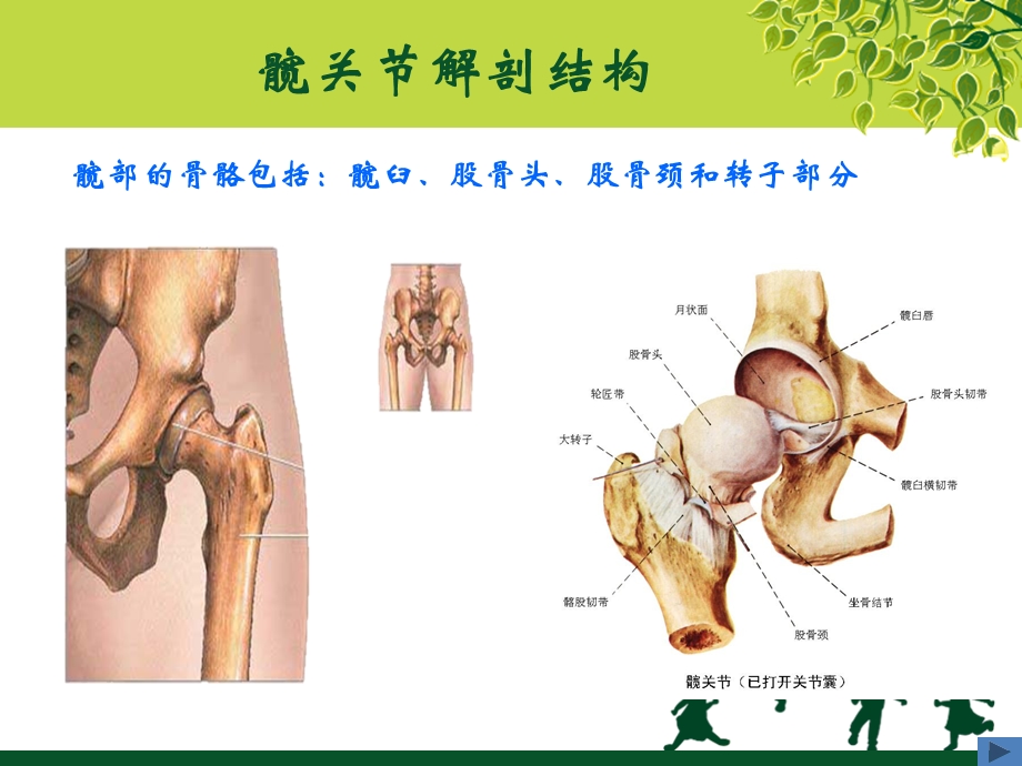 人工髋关节置换术康复护理.ppt_第3页