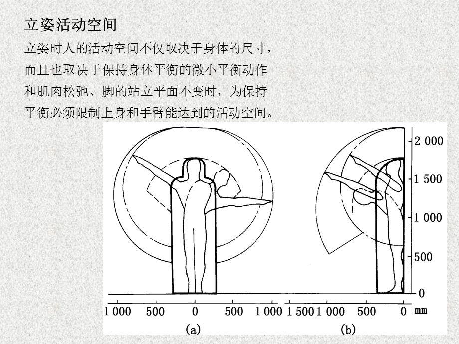 人机工程学人体尺寸.ppt_第3页